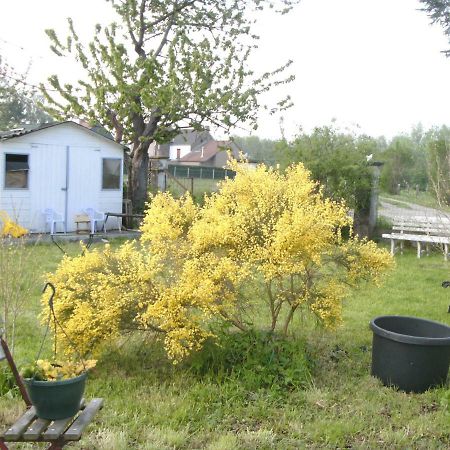 Ferme Lenfant ξενώνας Ville-Pommeroeul Εξωτερικό φωτογραφία
