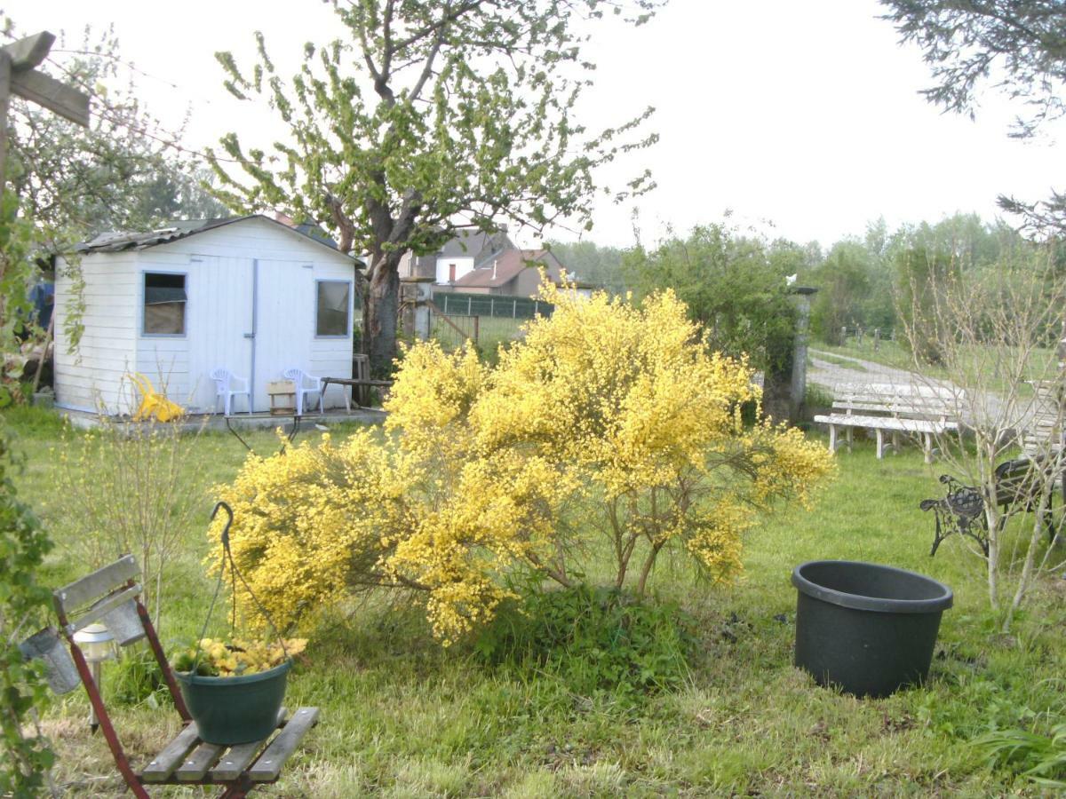 Ferme Lenfant ξενώνας Ville-Pommeroeul Εξωτερικό φωτογραφία